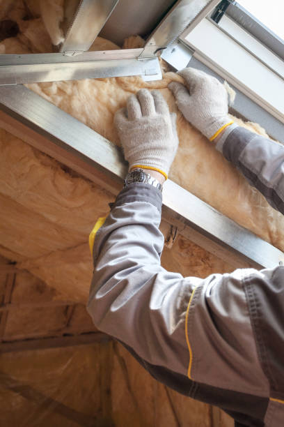 Best Residential Insulation in Temple City, CA