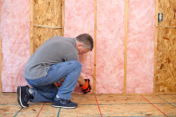 Best Fiberglass Insulation in Temple City, CA