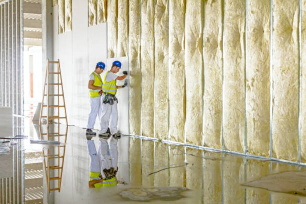 Types of Insulation We Offer in Temple City, CA